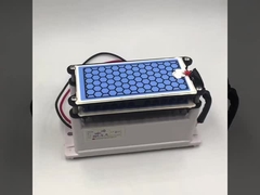 निर्माता सीई प्रमाणन नया ओजोन जनरेटर 10g डबल सिरेमिक प्लेट लंबे जीवन ओजोन भागों