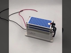 ओजोन कीटाणुशोधन मशीन के लिए एसी 220 वी 15 ग्राम/घंटा सिरेमिक ओजोन प्लेट